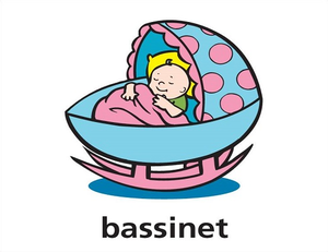 Final T Bassinet Dnt Image